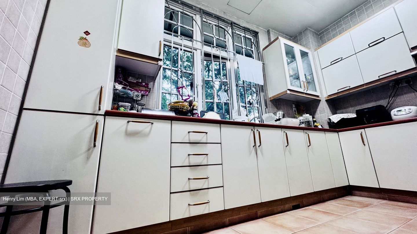 Seletar Hills Estate (D28), Semi-Detached #549766641